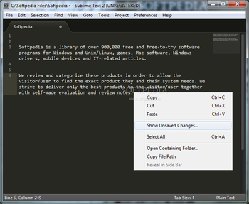 Portable Sublime Text screenshot 12