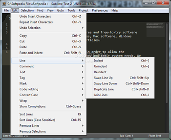 Portable Sublime Text screenshot 14