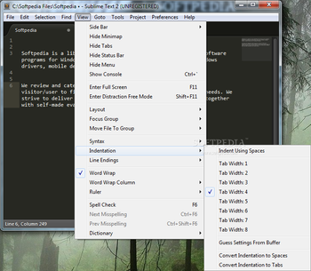 Portable Sublime Text screenshot 17