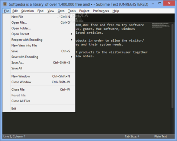 Portable Sublime Text screenshot 2