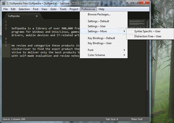 Portable Sublime Text screenshot 21