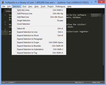 Portable Sublime Text screenshot 4