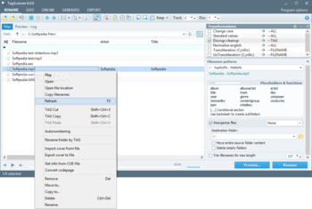 Portable TagScanner screenshot 2