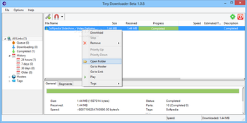 Portable Tiny Downloader screenshot