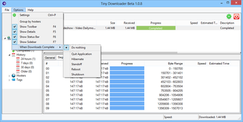 Portable Tiny Downloader screenshot 3