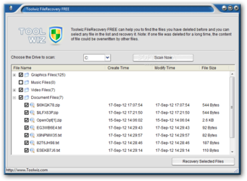 Portable Toolwiz File Recovery screenshot
