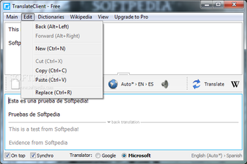 Portable TranslateClient screenshot 4