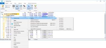 Portable TreeSize Free screenshot