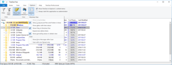 Portable TreeSize Free screenshot 4
