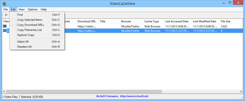 Portable VideoCacheView screenshot 2