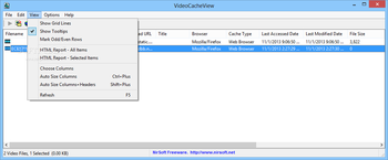 Portable VideoCacheView screenshot 3