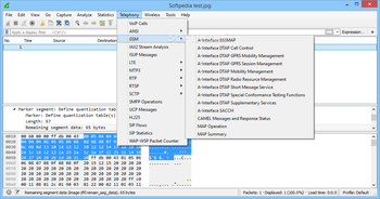 Portable Wireshark screenshot 11