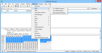 Portable Wireshark screenshot 12