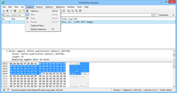 Portable Wireshark screenshot 8