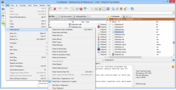 Portable XYplorerFree screenshot 10