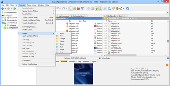 Portable XYplorerFree screenshot 14