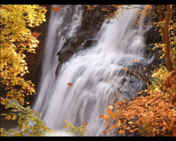 Portraits of Autumn screenshot