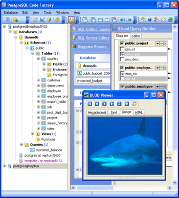 PostgreSQL Code Factory screenshot