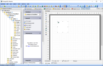 PostgreSQL Maestro screenshot 12