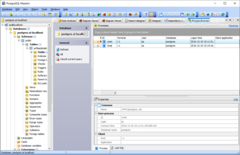 PostgreSQL Maestro screenshot 13