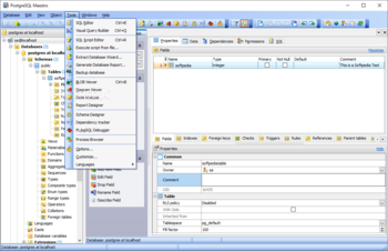 PostgreSQL Maestro screenshot 6