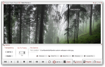 Power Flash Player 2011 screenshot