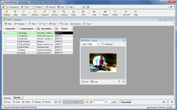 PowerDBTools screenshot