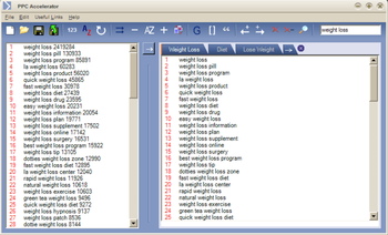 PPC Accelerator screenshot 2