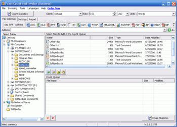 PractiCount and Invoice Business Edition screenshot