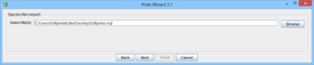 Pride Wizard screenshot 2