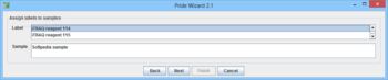 Pride Wizard screenshot 8