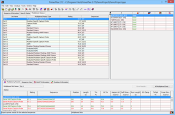 PrimerPlex screenshot