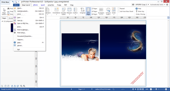 priPrinter Professional screenshot 2