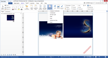 priPrinter Professional screenshot 4