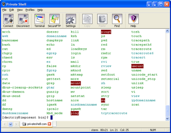 Private Shell SSH Client screenshot