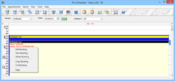Pro Schedule Standard screenshot