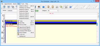 Pro Schedule Standard screenshot 4