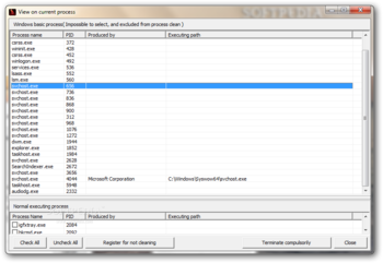 Process Cleaner screenshot 3