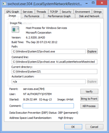 Process Explorer screenshot 13