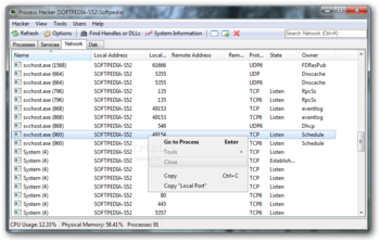 Process Hacker Portable screenshot 3