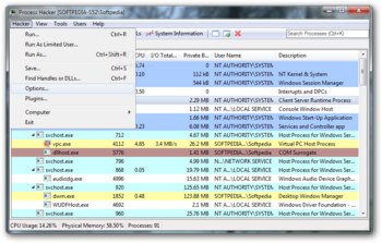 Process Hacker Portable screenshot 5
