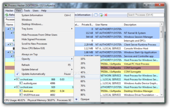 Process Hacker Portable screenshot 6