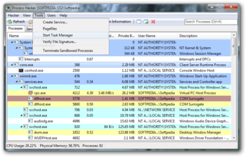 Process Hacker Portable screenshot 7