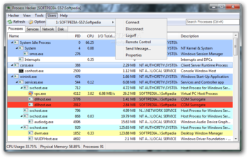 Process Hacker Portable screenshot 8