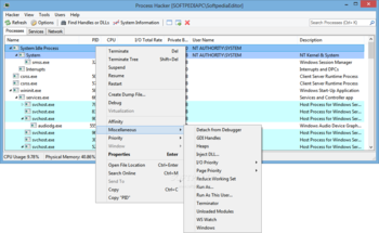 Process Hacker screenshot 2