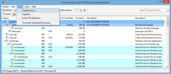 Process Hacker screenshot 6