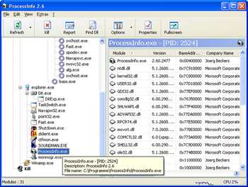 ProcessInfo screenshot