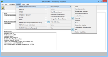 Processing Modflow screenshot 5