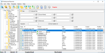 Professional Renamer screenshot