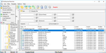 Professional Renamer screenshot 2
